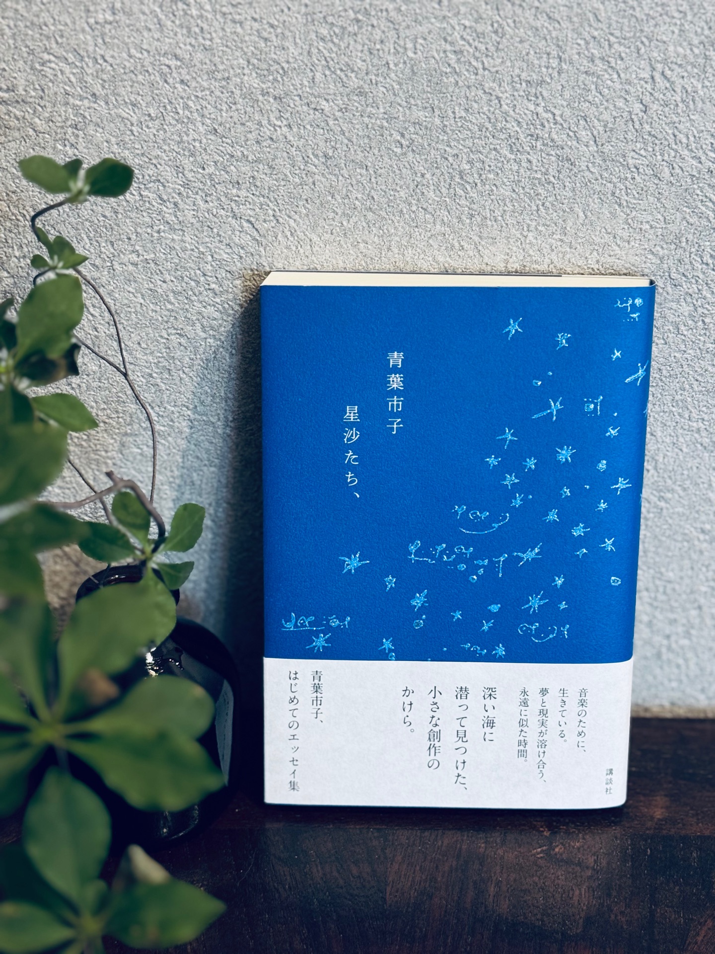 星沙たち、