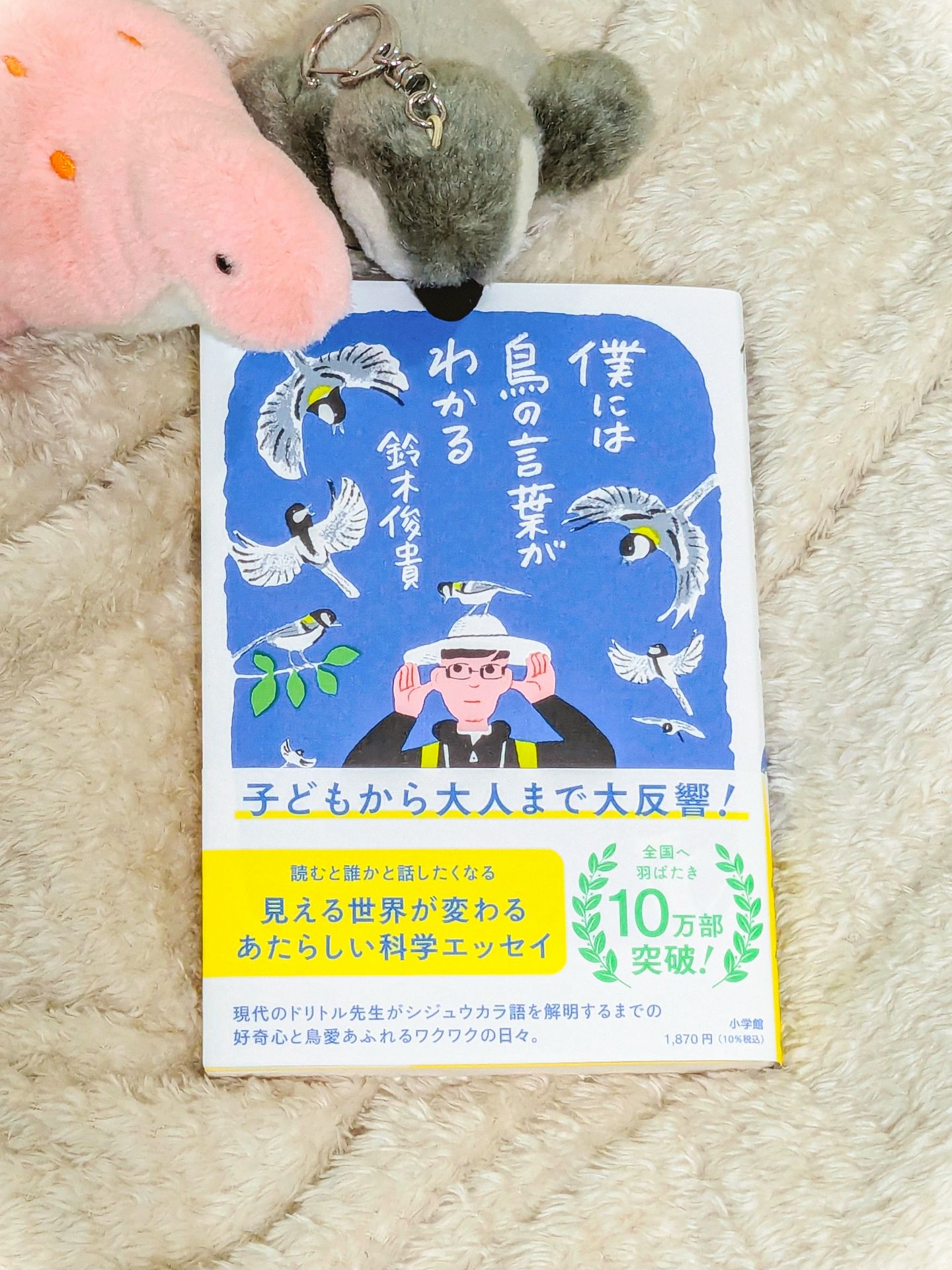 僕には鳥の言葉がわかる