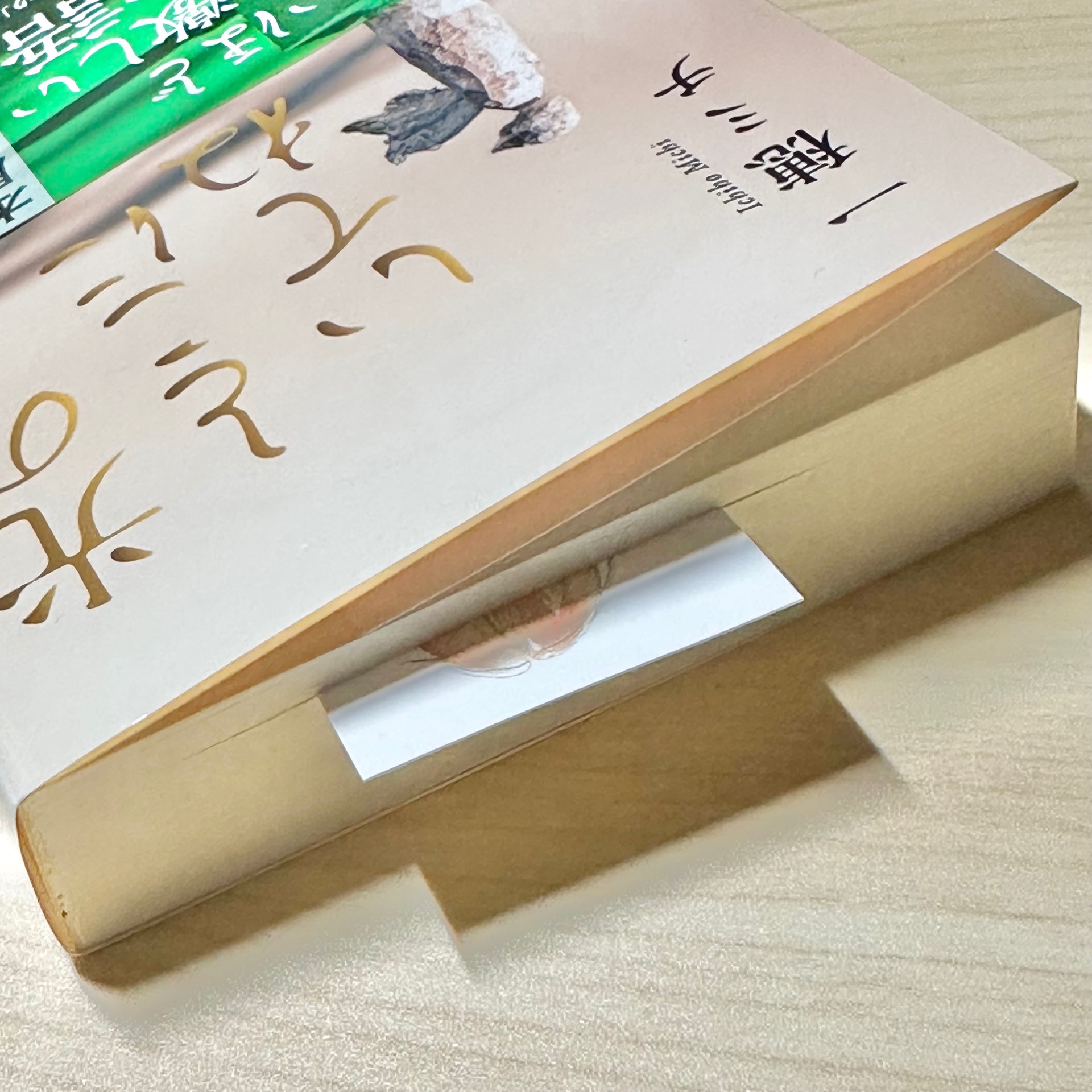 光のとこにいてね