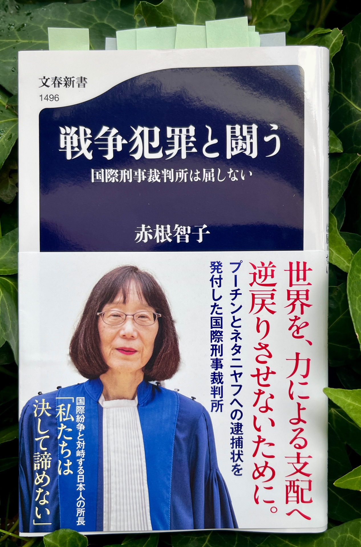 戦争犯罪と闘う 国際刑事裁判所は屈しない