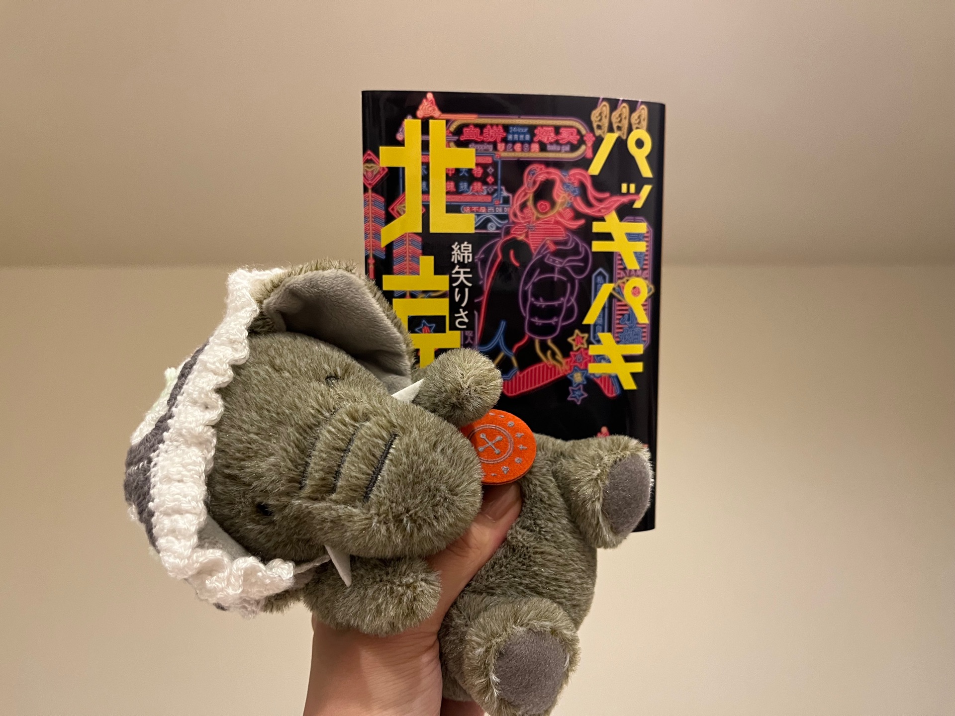 パッキパキ北京