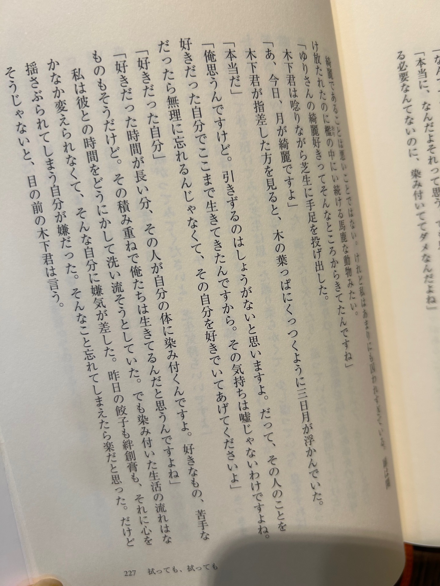 カモフラージュ