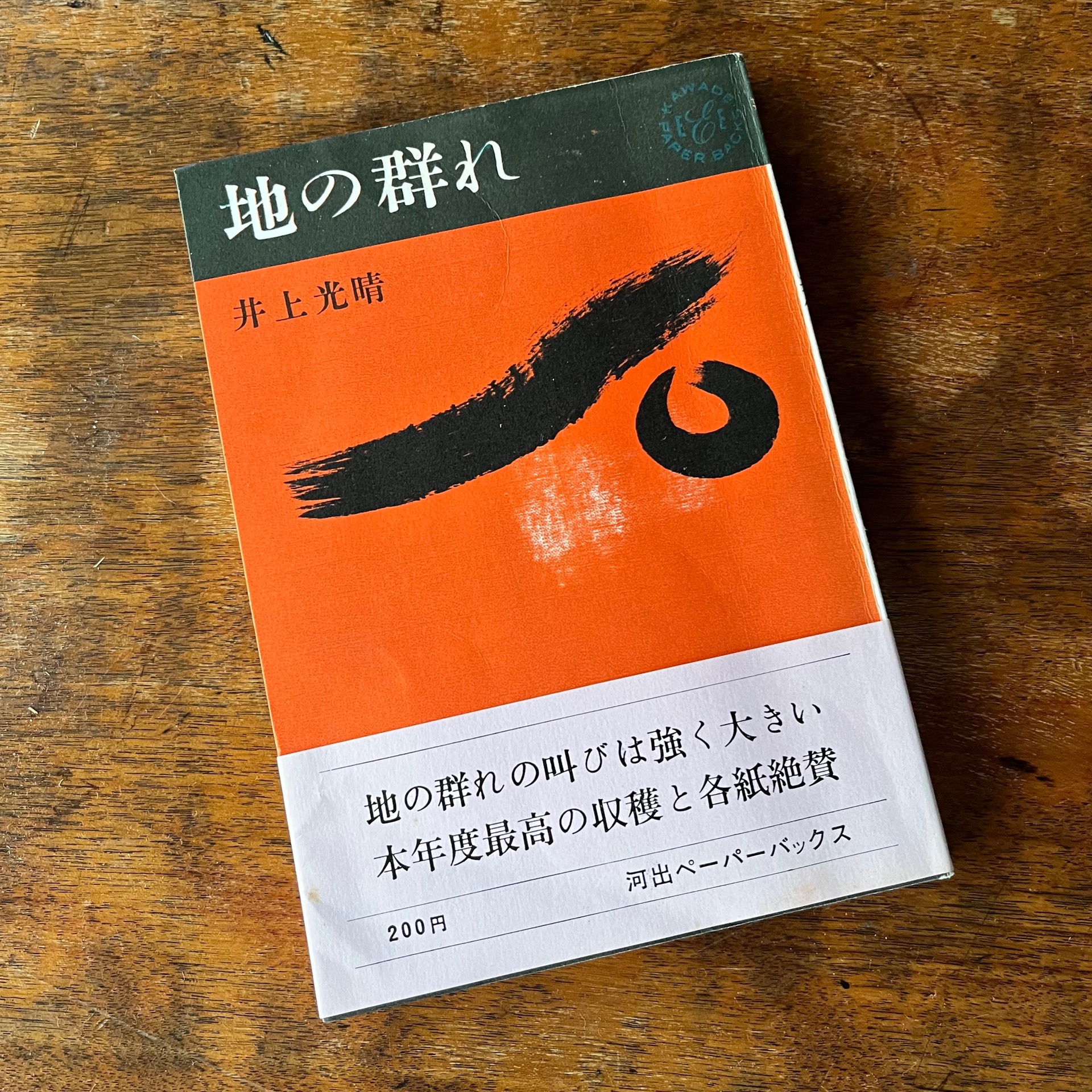 地の群れ (1963年)