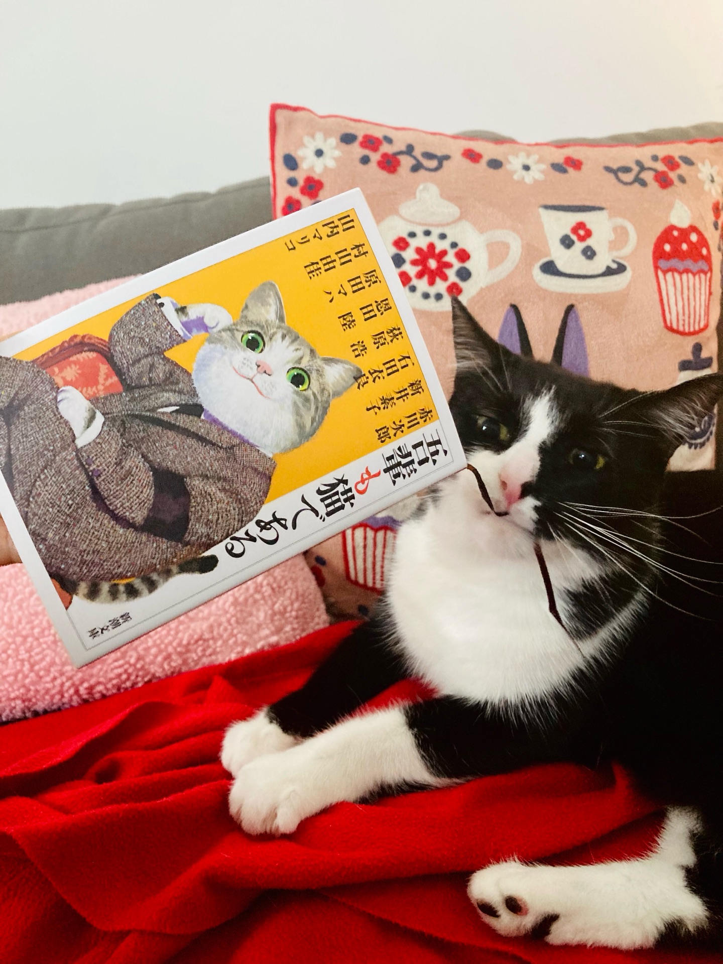 吾輩も猫である