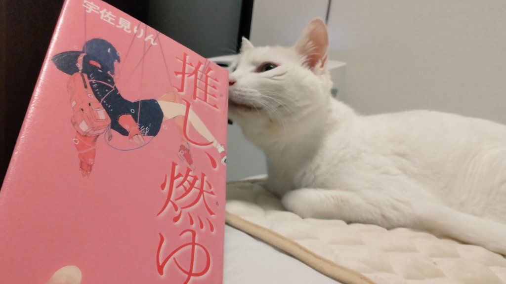 推し、燃ゆ