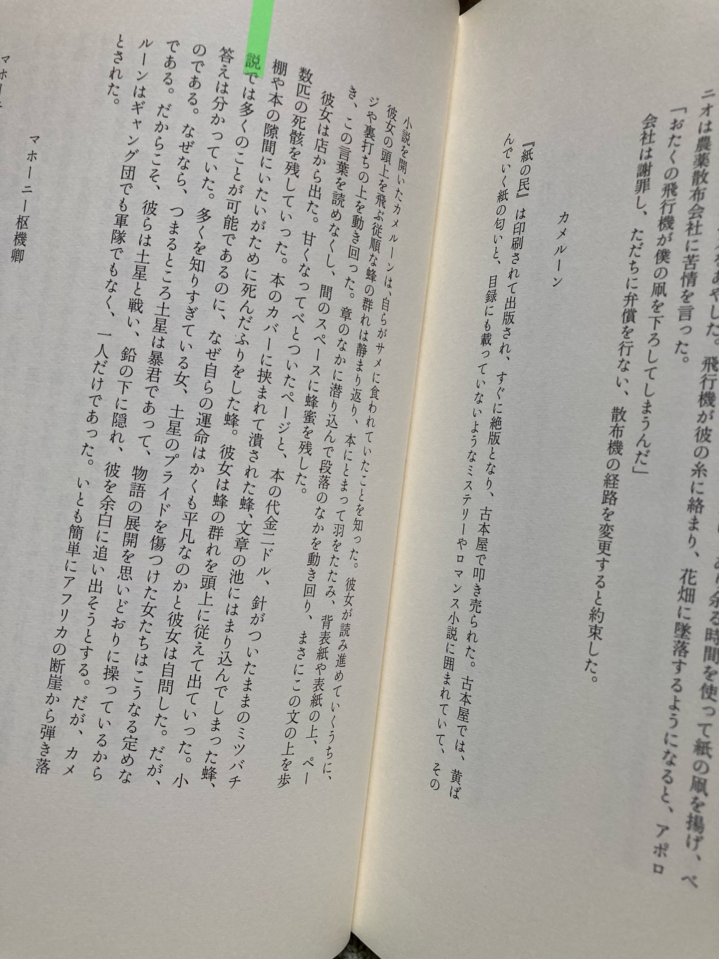 紙の民