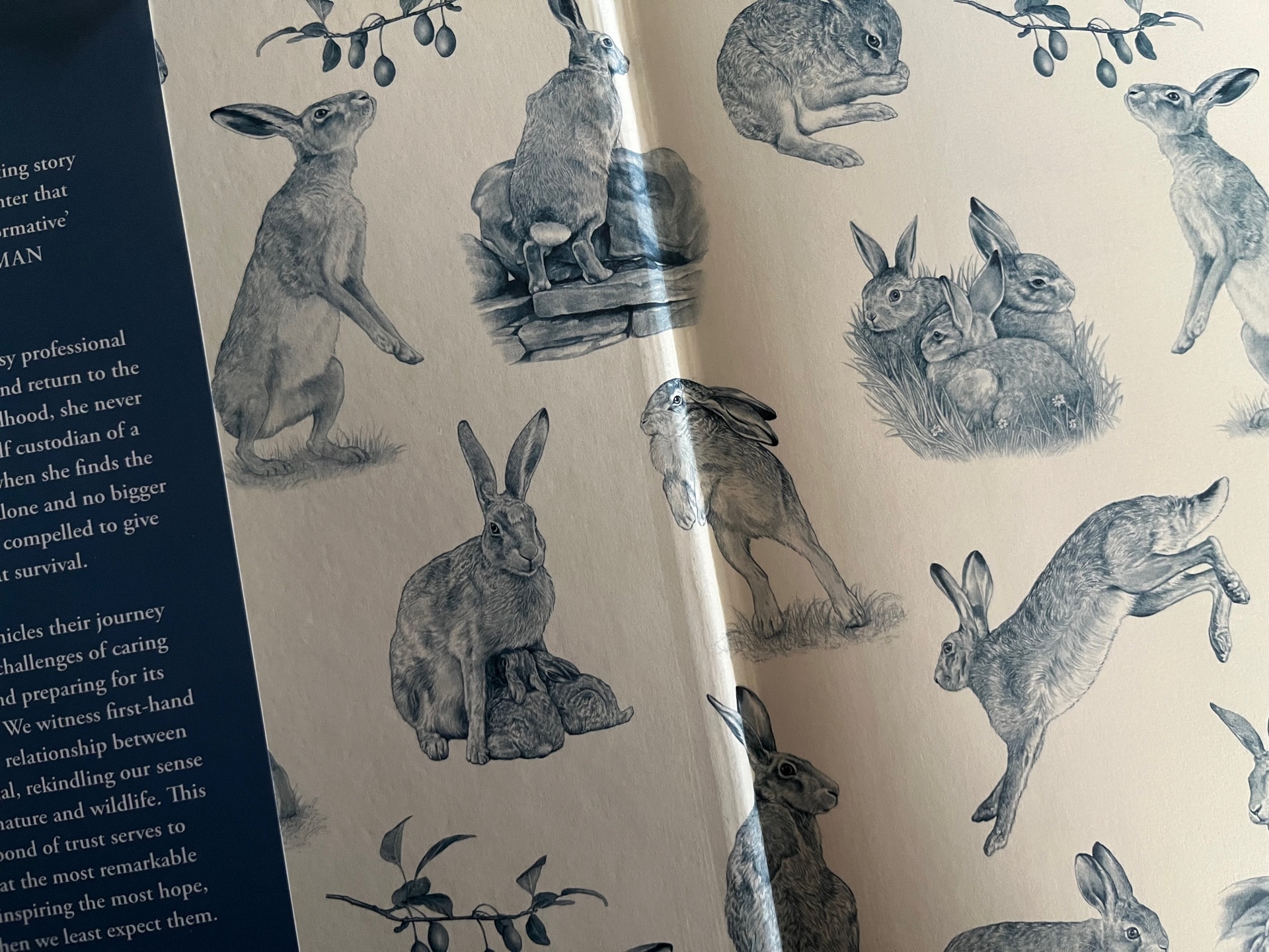 Raising Hare