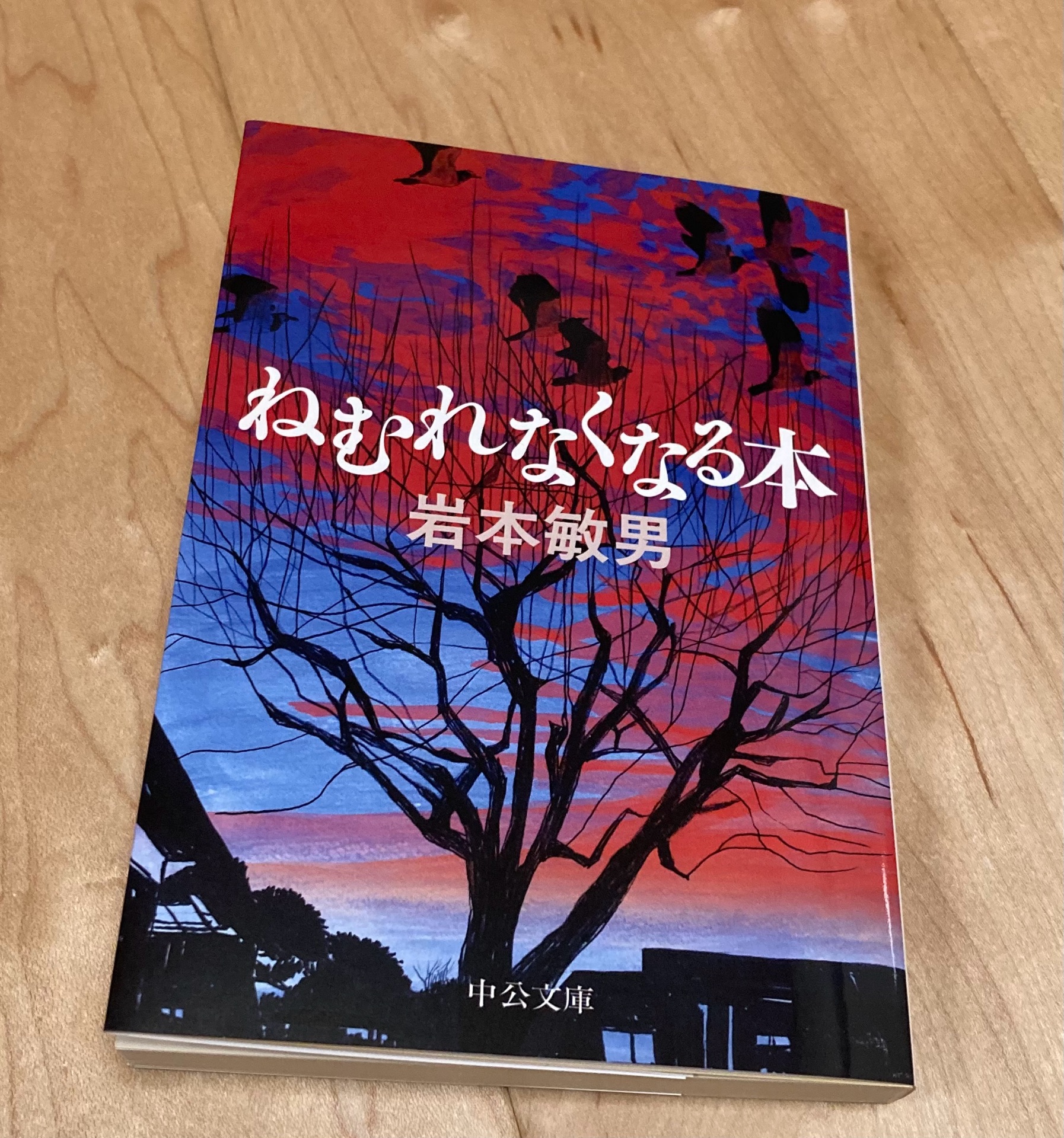 ねむれなくなる本