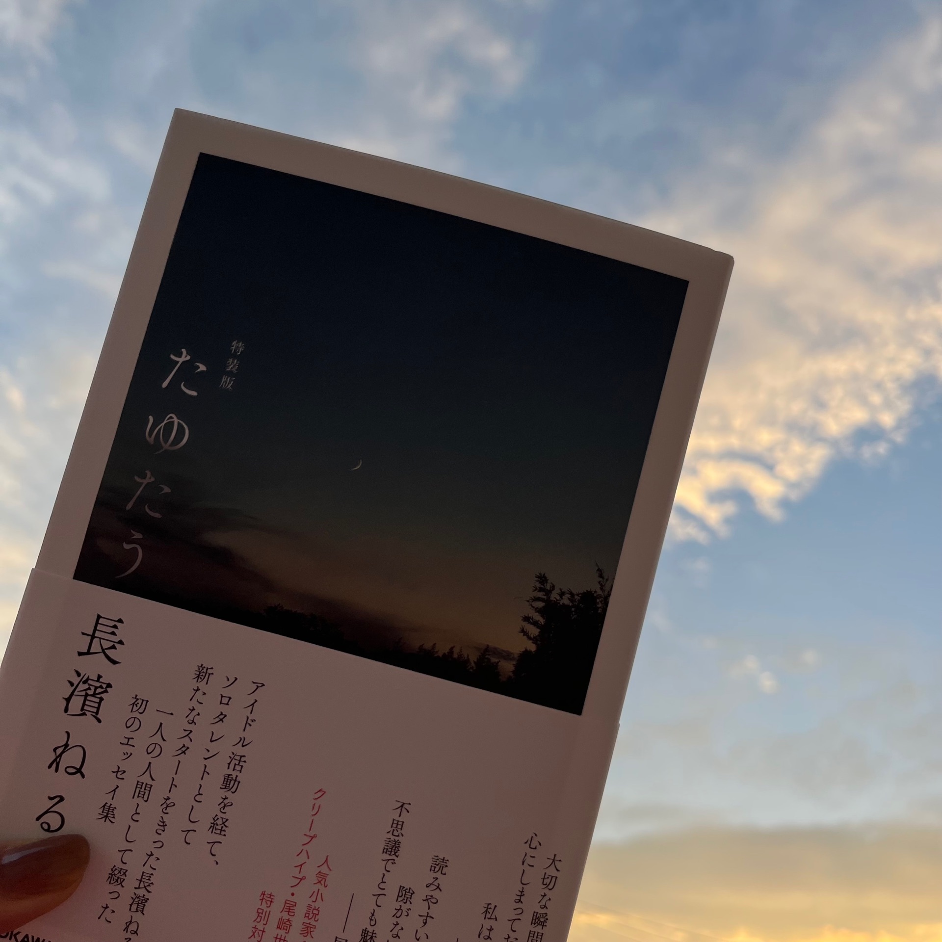 たゆたう 特装版