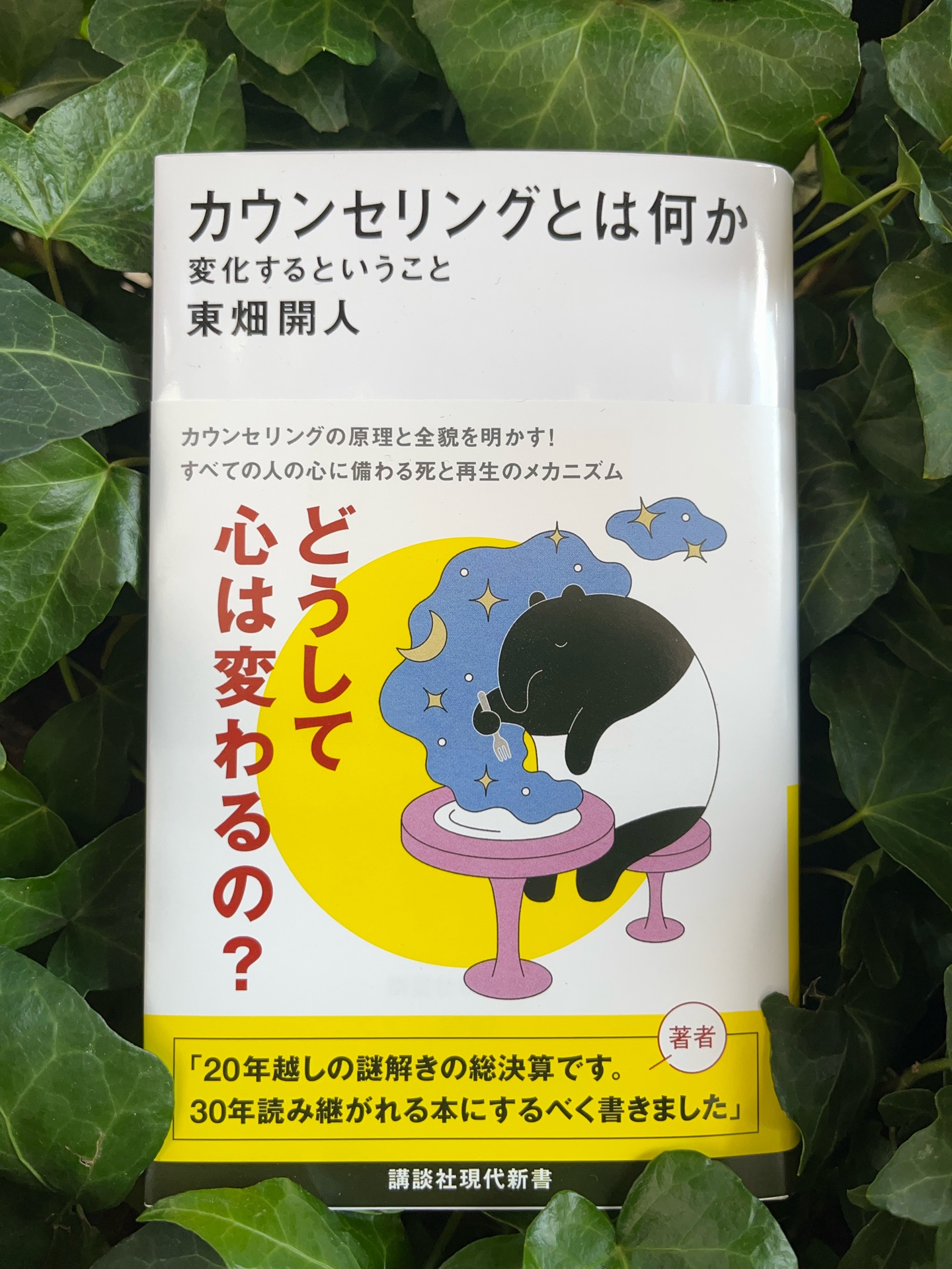 カウンセリングとは何か 変化するということ