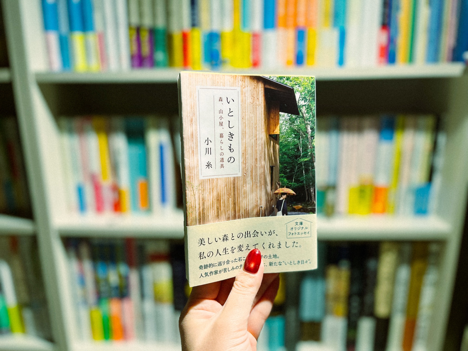 いとしきもの 森、山小屋、暮らしの道具