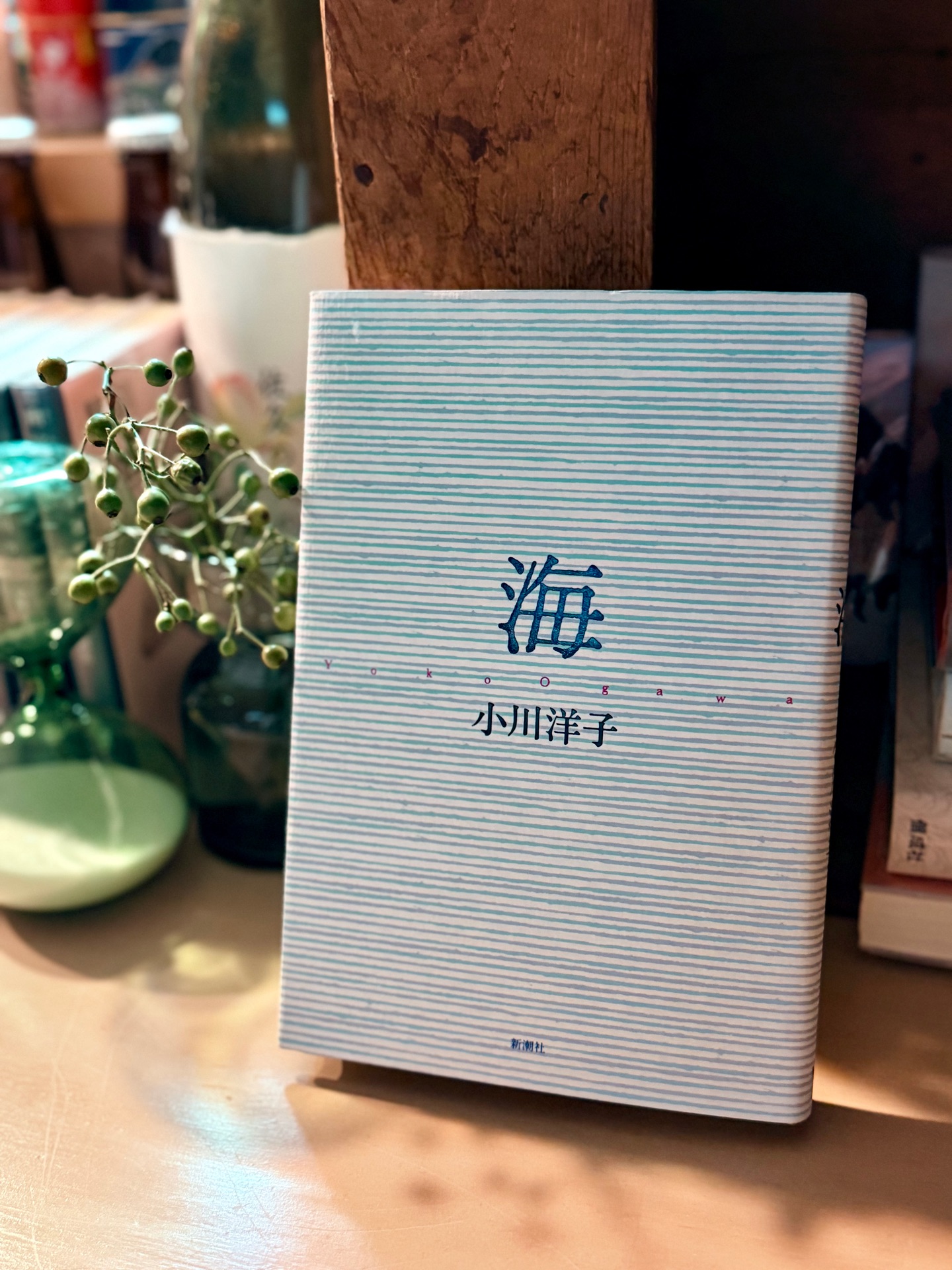 海