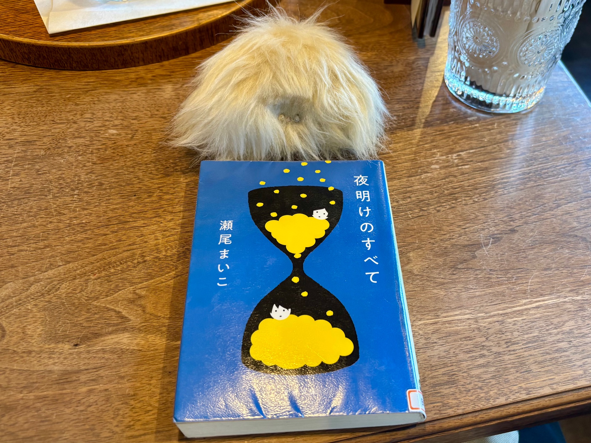 夜明けのすべて
