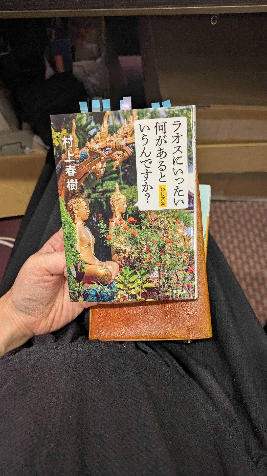 ラオスにいったい何があるというんですか? 紀行文集