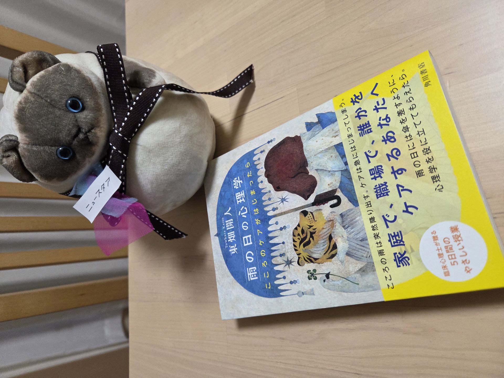 雨の日の心理学 こころのケアがはじまったら