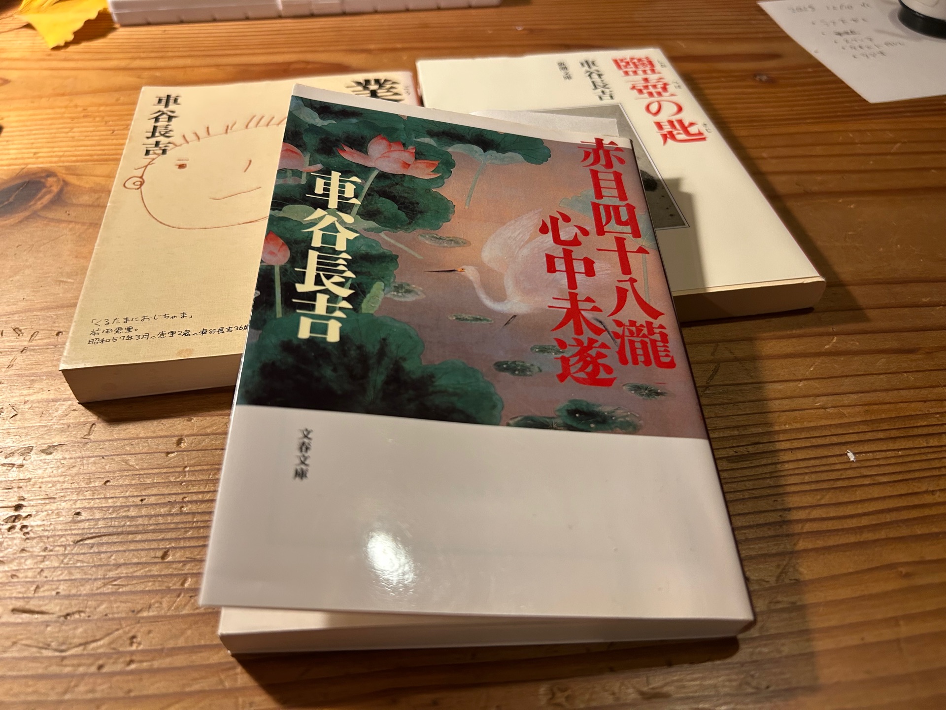 赤目四十八瀧心中未遂