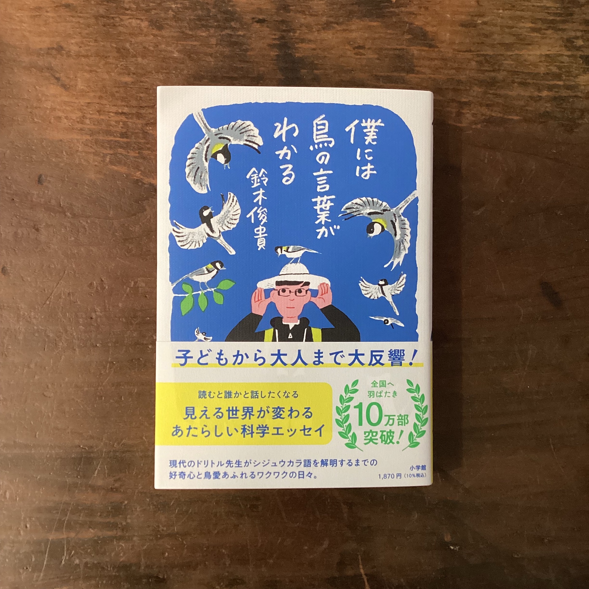 僕には鳥の言葉がわかる