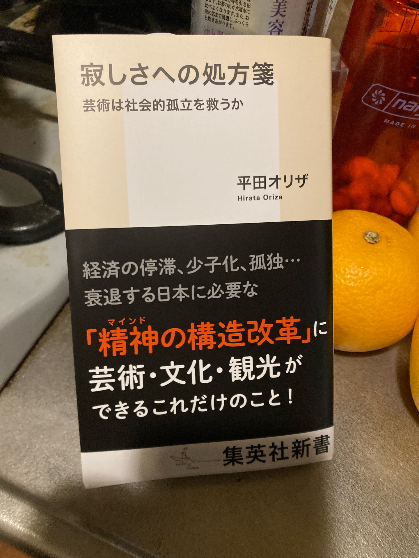 寂しさへの処方箋 芸術は社会的孤立を救うか