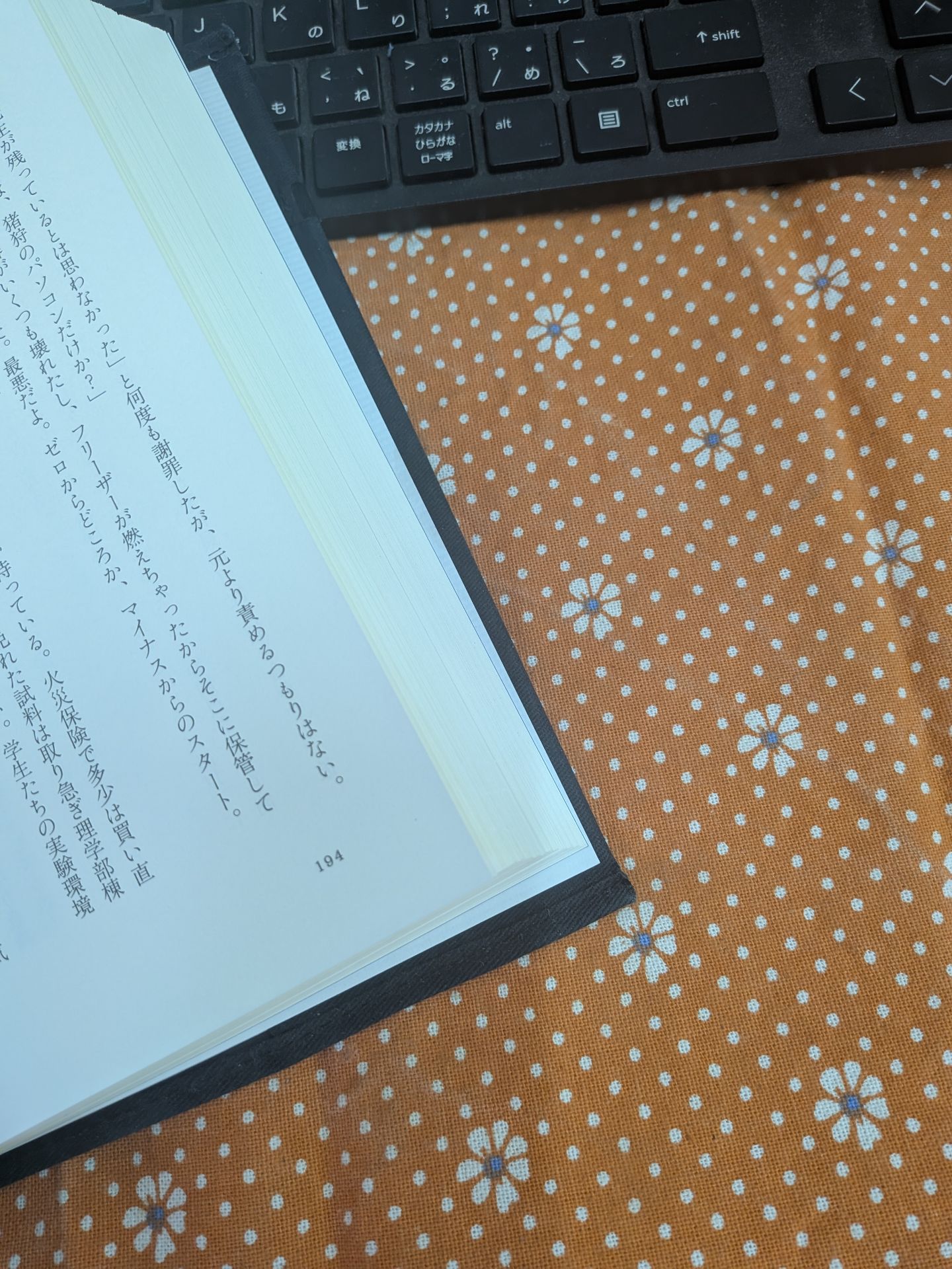 追憶の鑑定人