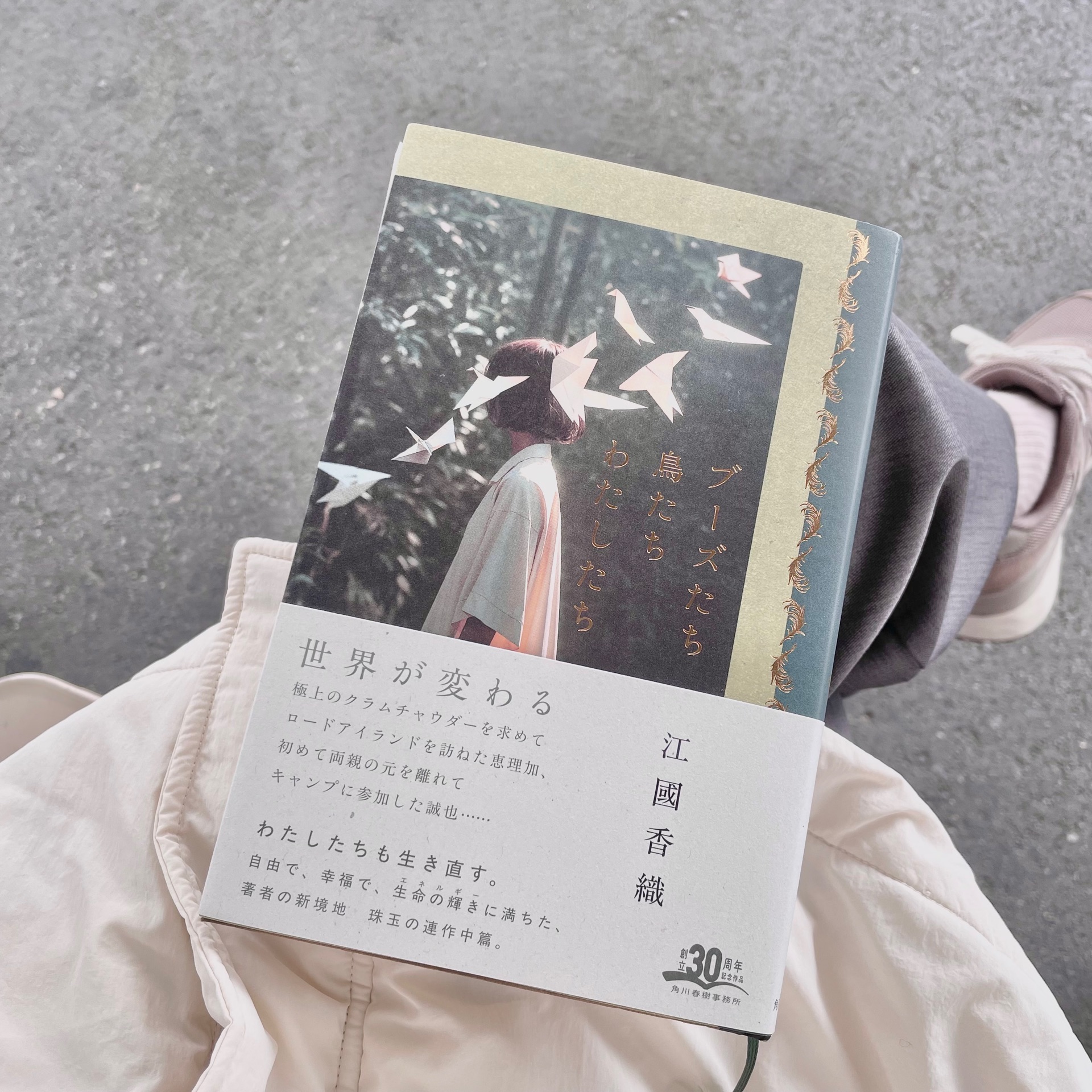 ブーズたち鳥たちわたしたち