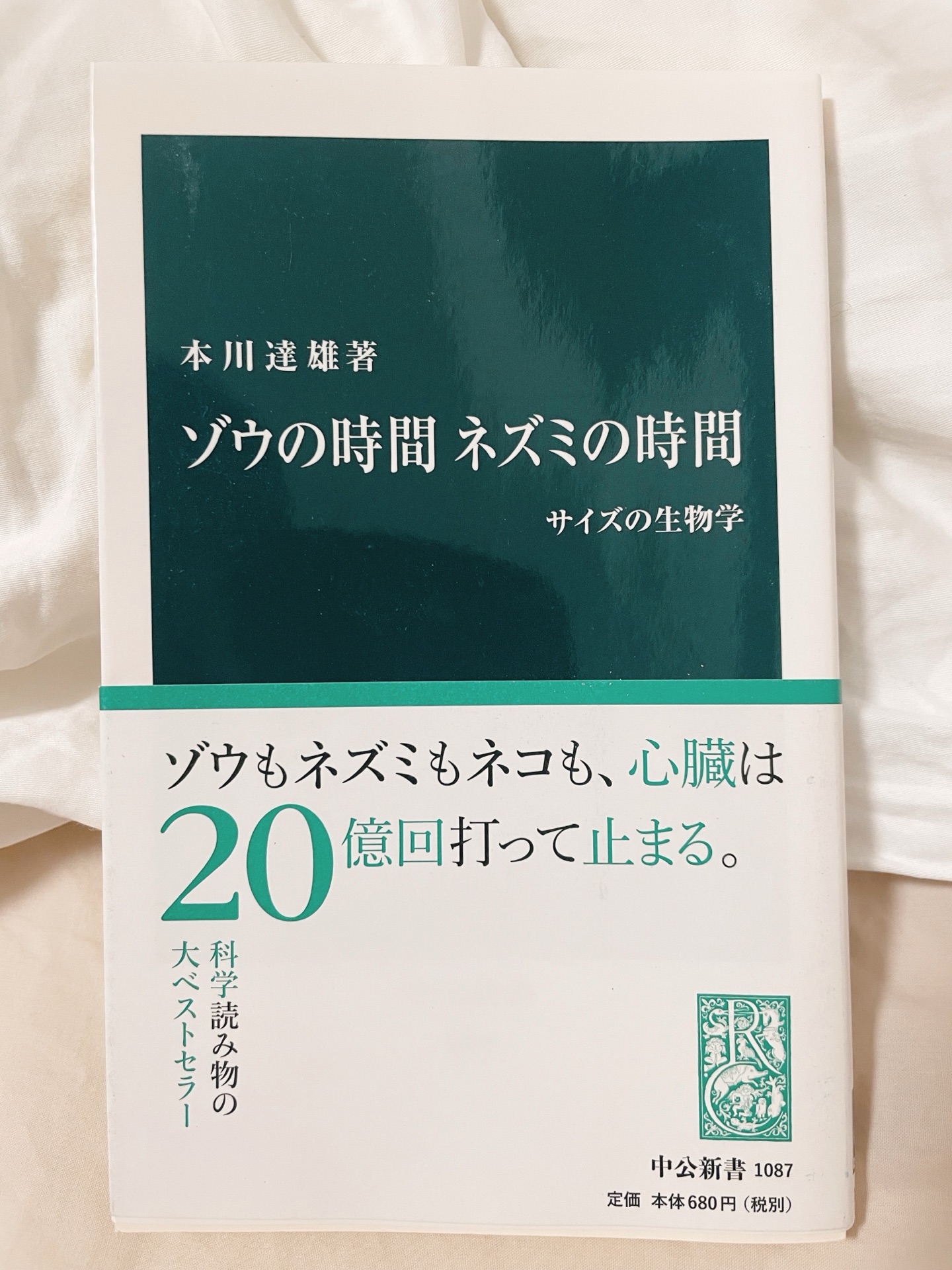 ゾウの時間ネズミの時間