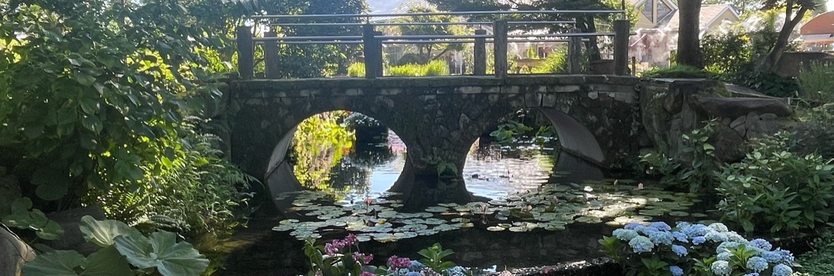 野々宮