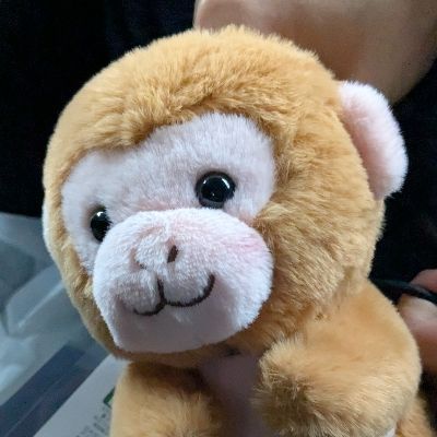 うえまる