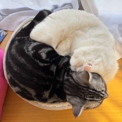 やきとり大明神