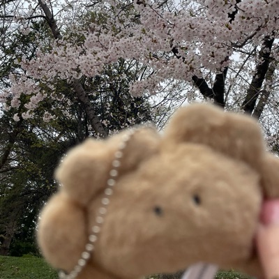 蟹粥