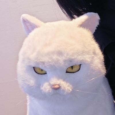 巡丑豊
