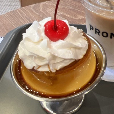 なまえはまだない。