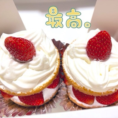 朔saku*本読み