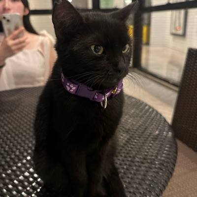 かむかむれもん