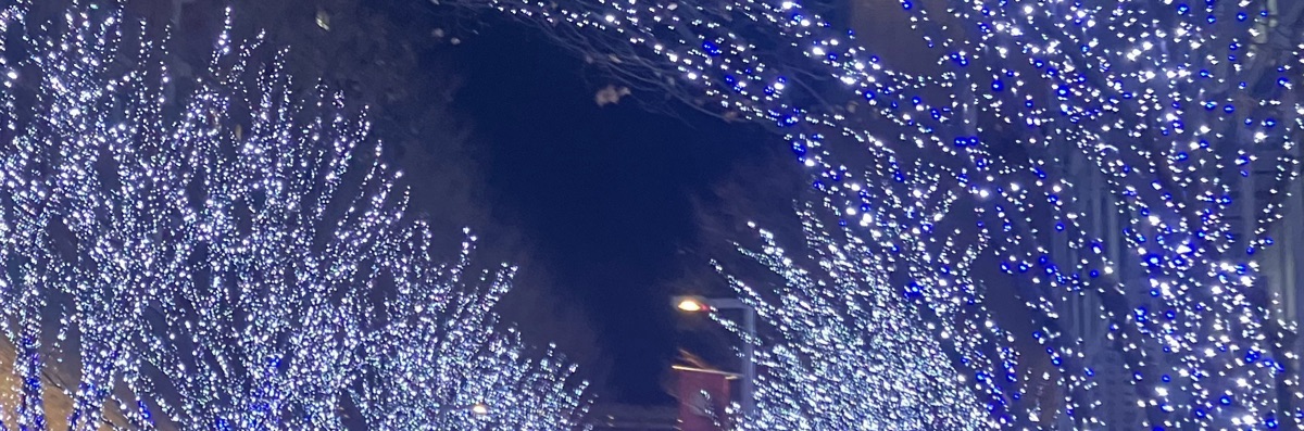 ❄︎