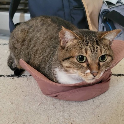 ぐらみ