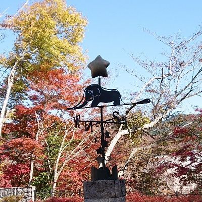 あっこ