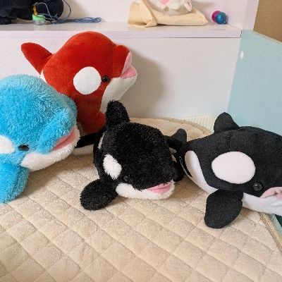 本を読みたいシャチ好き