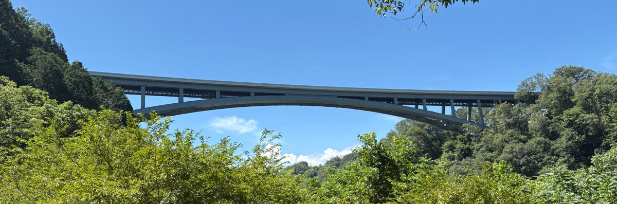 Ara