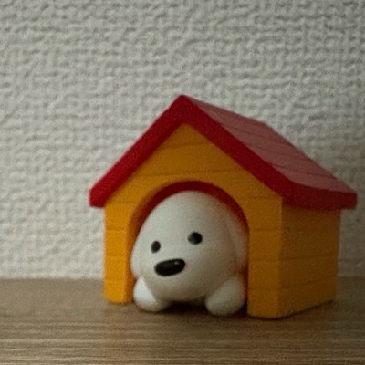 あさみ