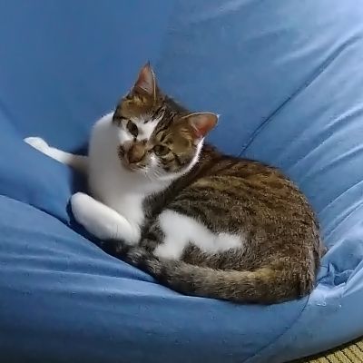 ボン