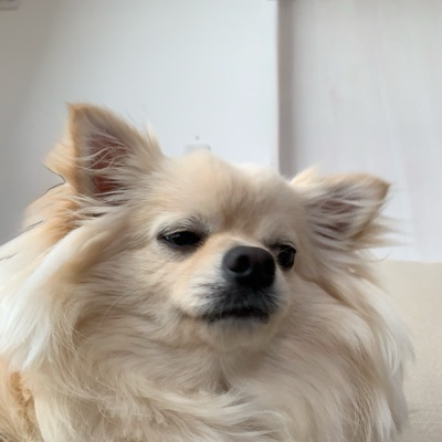 aaa