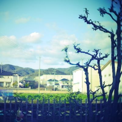栞とあんこ