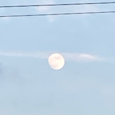 汐