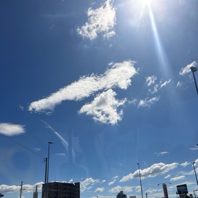 ゆゆゆ