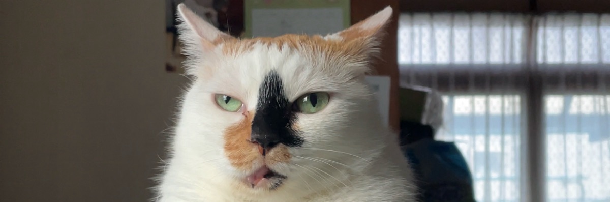 ふぅ