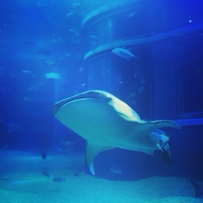 ブック・ジ・エンド