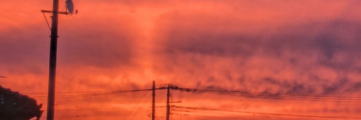 春夏秋冬読書中