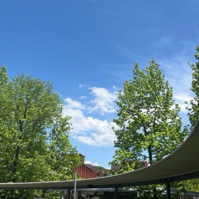 私文大学生