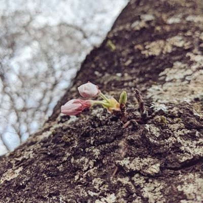 山森まち