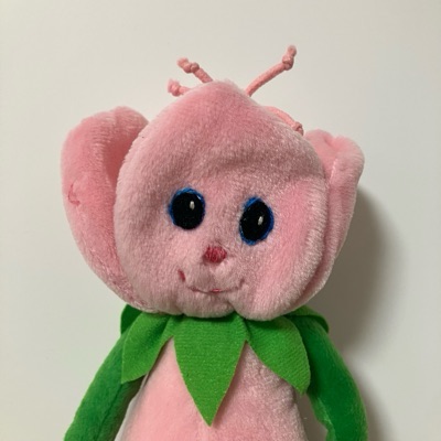 私